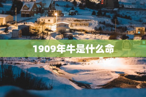 1909年牛是什么命