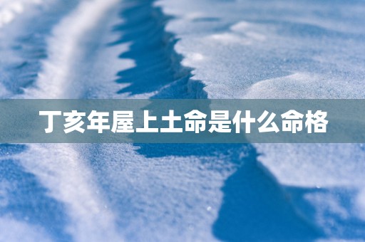 丁亥年屋上土命是什么命格