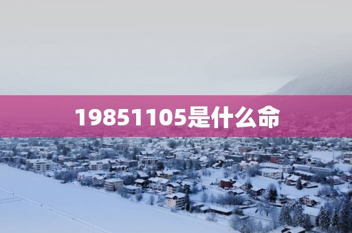 19851105是什么命