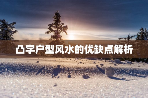 凸字户型风水的优缺点解析