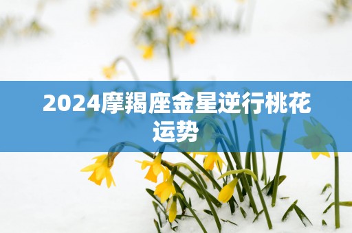 2025摩羯座金星逆行桃花运势