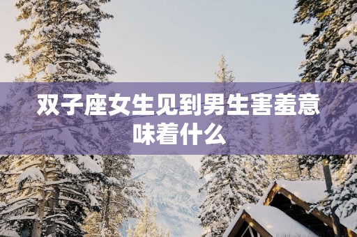 双子座女生见到男生害羞意味着什么