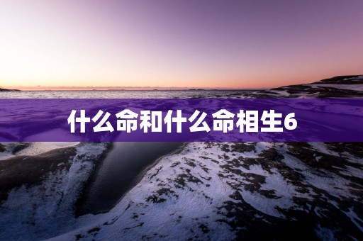 什么命和什么命相生6