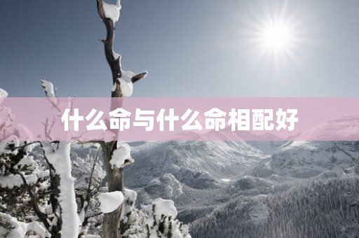 什么命与什么命相配好