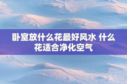 卧室放什么花最好风水 什么花适合净化空气