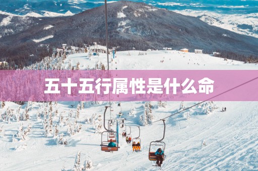 五十五行属性是什么命