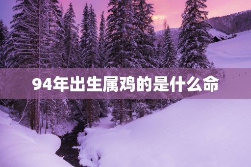 94年出生属鸡的是什么命