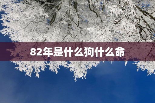 82年是什么狗什么命