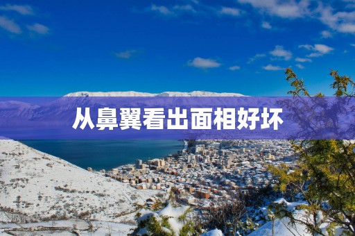 从鼻翼看出面相好坏