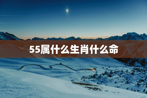 55属什么生肖什么命