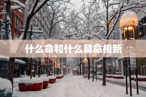 什么命和什么算命相新