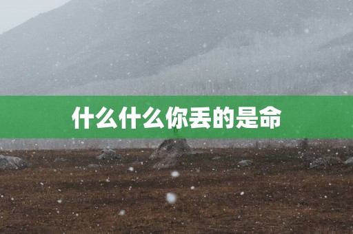 什么什么你丢的是命