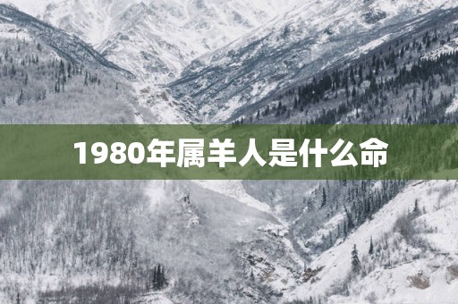 1980年属羊人是什么命
