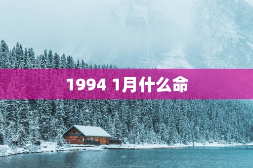 1994 1月什么命