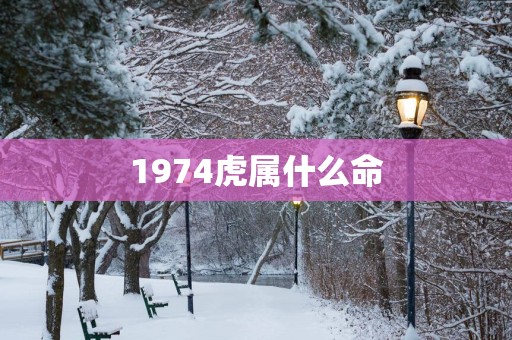 1974虎属什么命