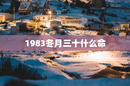 1983冬月三十什么命