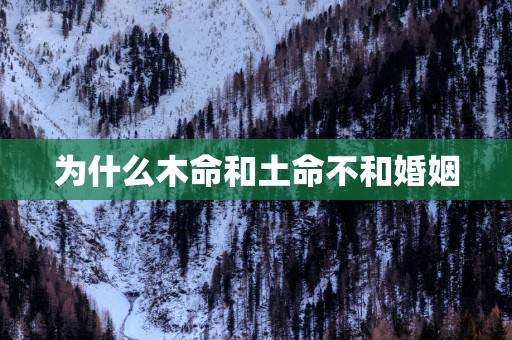 为什么木命和土命不和婚姻