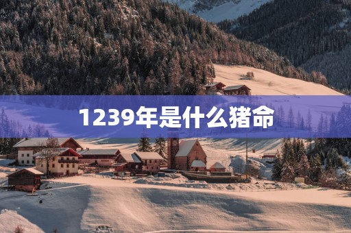 1239年是什么猪命