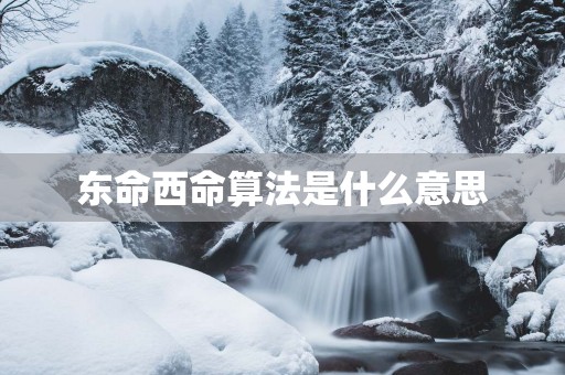 东命西命算法是什么意思
