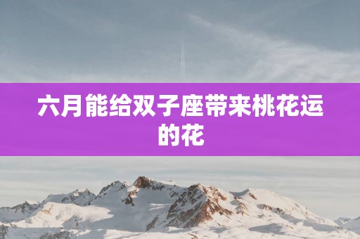 六月能给双子座带来桃花运的花