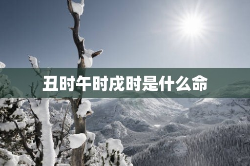 丑时午时戌时是什么命