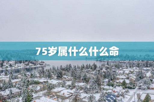75岁属什么什么命