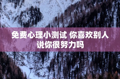 免费心理小测试 你喜欢别人说你很努力吗