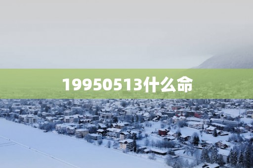 19950513什么命
