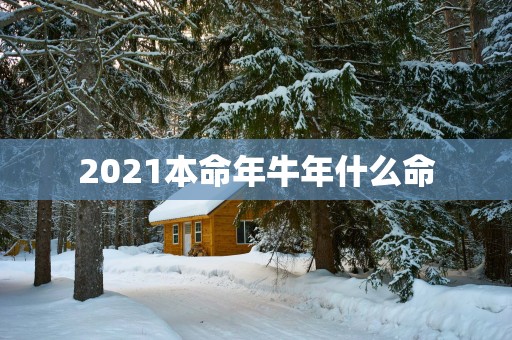 2025本命年蛇年什么命