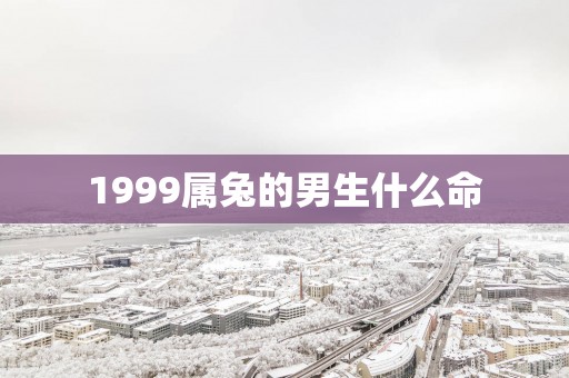 1999属兔的男生什么命