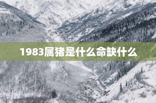 1983属猪是什么命缺什么