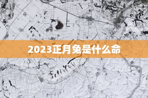 2025正月兔是什么命