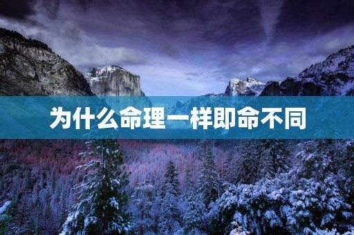 为什么命理一样即命不同