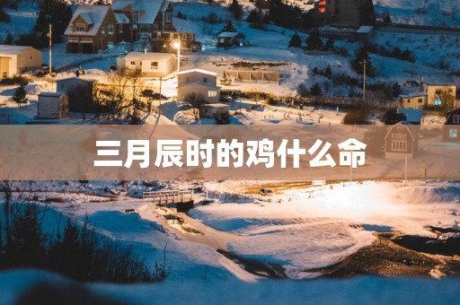 三月辰时的鸡什么命