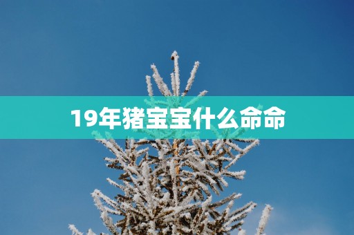 19年猪宝宝什么命命