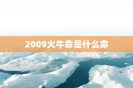 2009火牛命是什么命