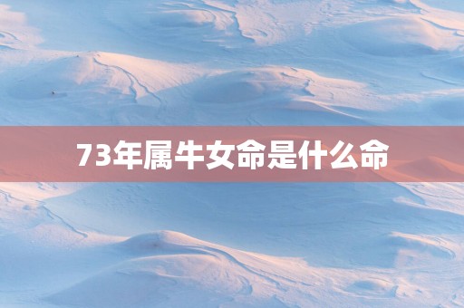73年属牛女命是什么命