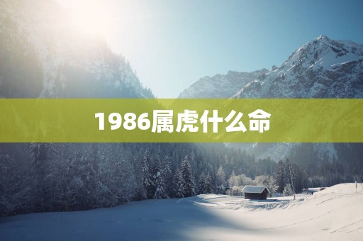 1986属虎什么命