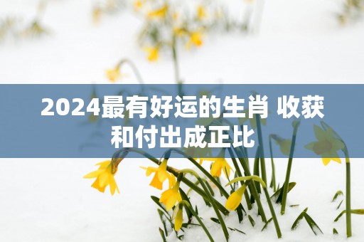 2025最有好运的生肖 收获和付出成正比