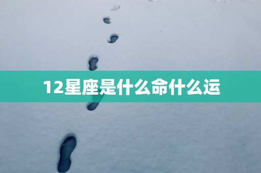 12星座是什么命什么运