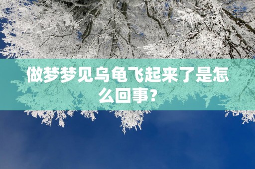 做梦梦见乌龟飞起来了是怎么回事？