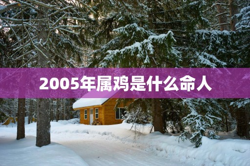2005年属鸡是什么命人