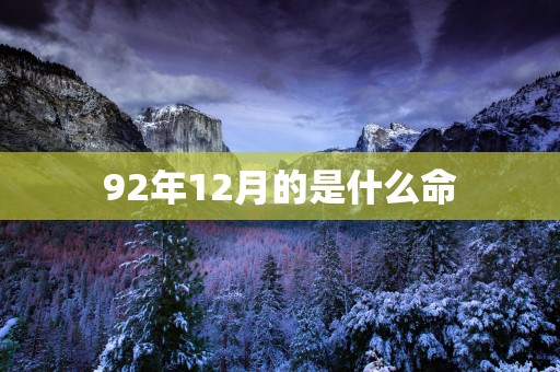92年12月的是什么命
