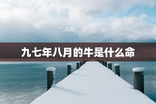 九七年八月的牛是什么命