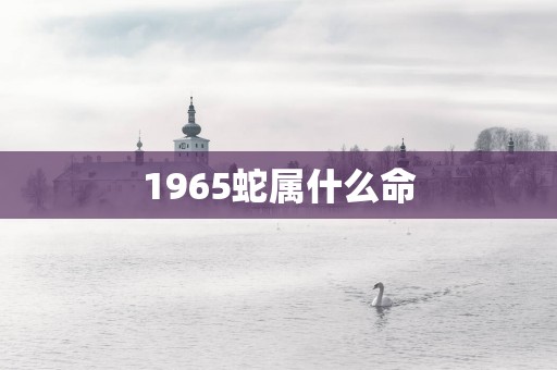 1965蛇属什么命