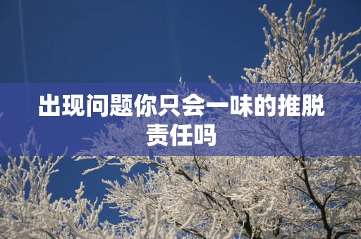出现问题你只会一味的推脱责任吗