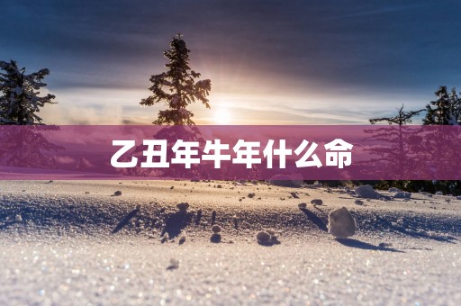 乙丑年蛇年什么命