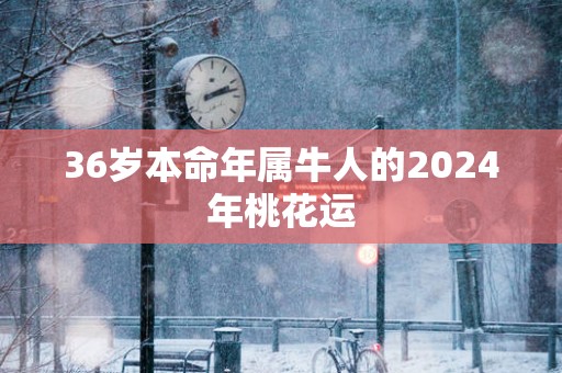 36岁本命年属牛人的2025年桃花运