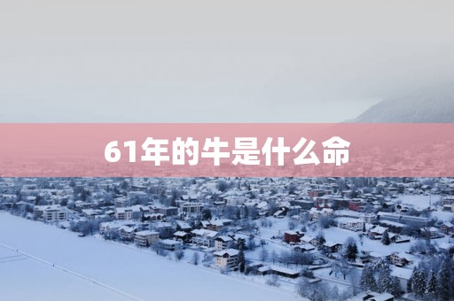 61年的牛是什么命