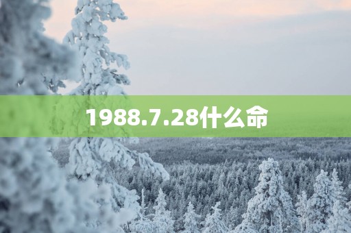 1988.7.28什么命